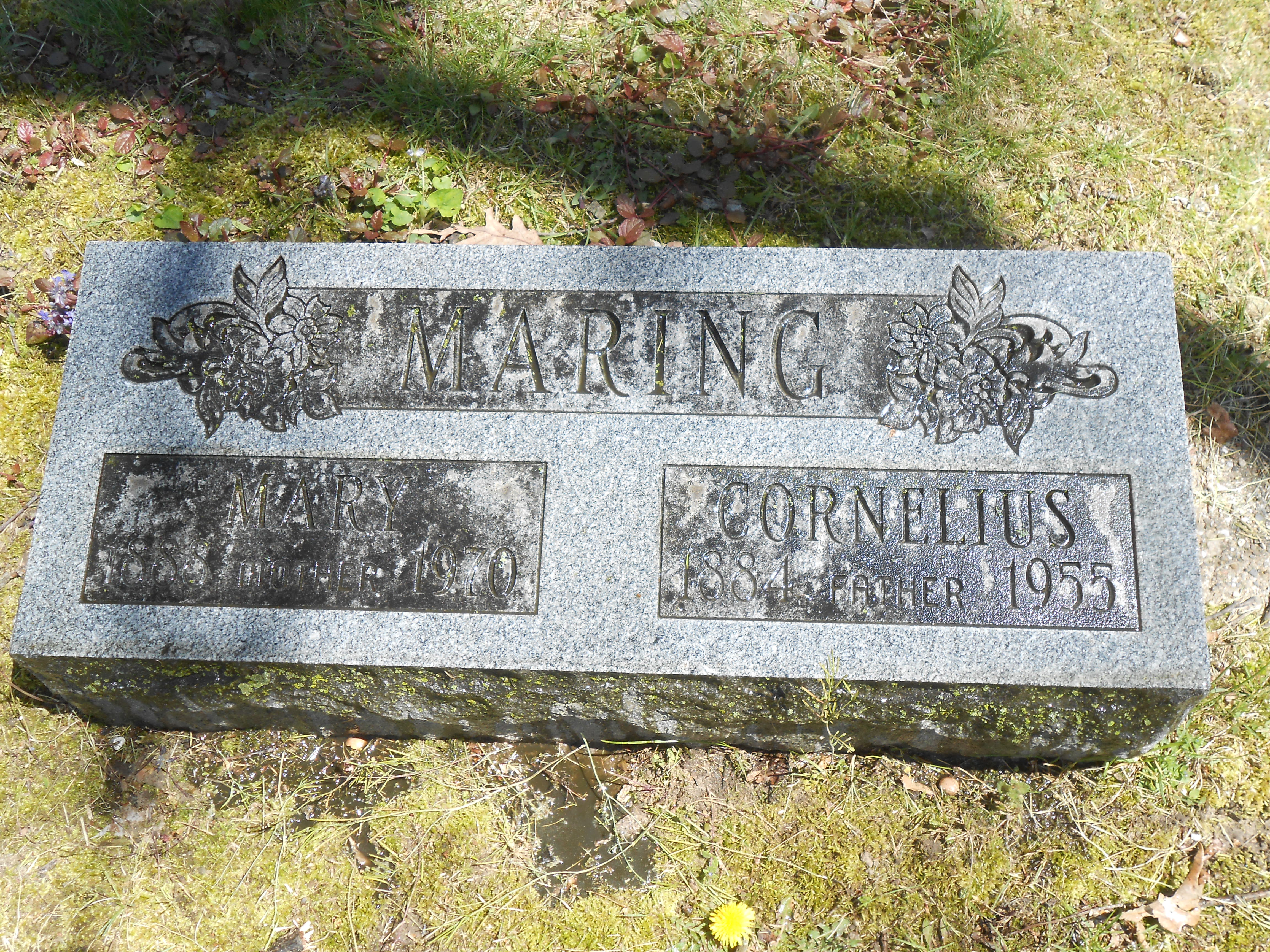 grafsteen cornelius maring on 26 Jun 2014.